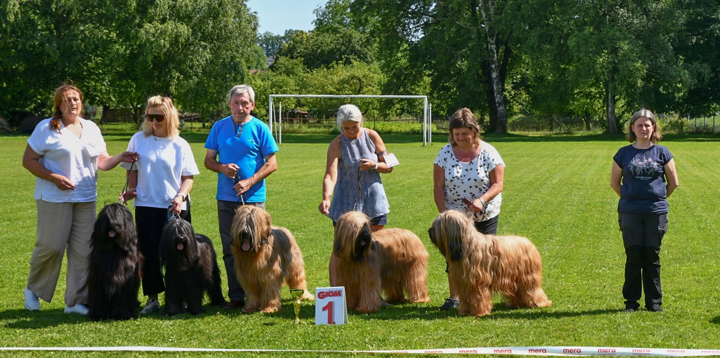 Speciální výstava 22.6.2025 - Mošnov