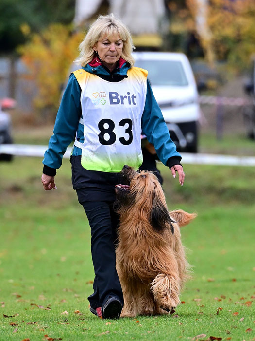 vykon fena2 laurentina