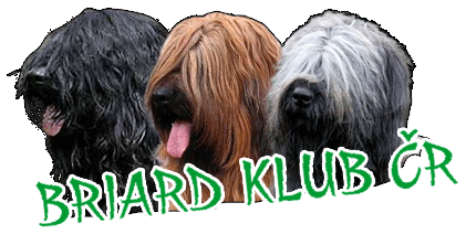 briard Klub České republiky