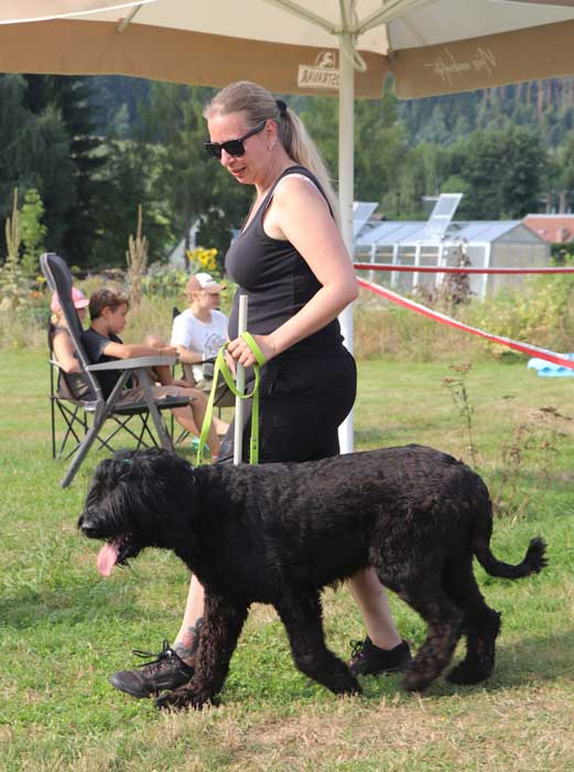beata vyvialova ashton